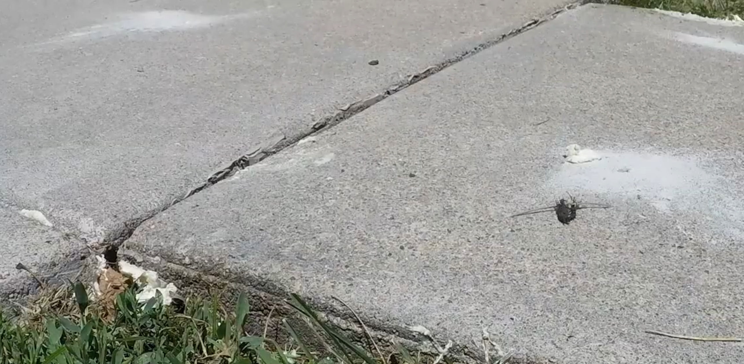 After garage apron repair - level and sealed